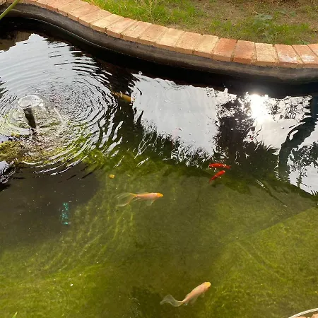 Villa Aquarium